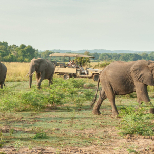 1755000599514game-drive-ks-6