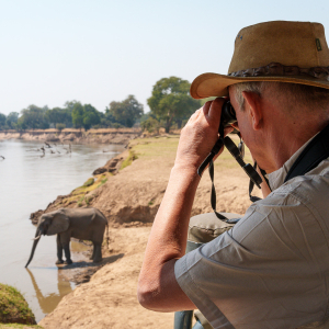 Elefanten Beobachtung