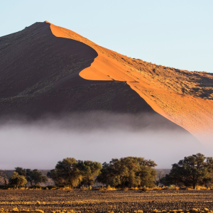 harscher_namibia_202611