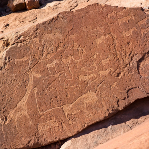 harscher_namibia_202614