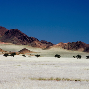 harscher_namibia_202617