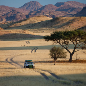harscher_namibia_202626