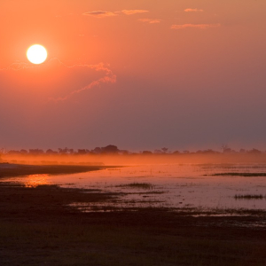 harscher_namibia_20263