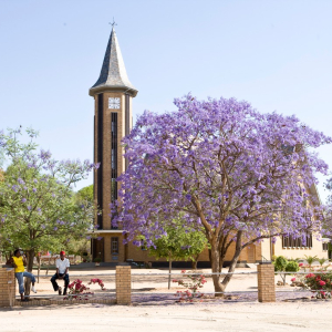 harscher_namibia_202631