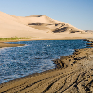 harscher_namibia_20266