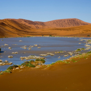 harscher_namibia_20268