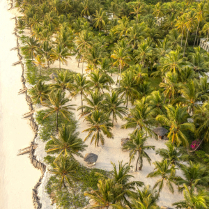 Tropical island paradise