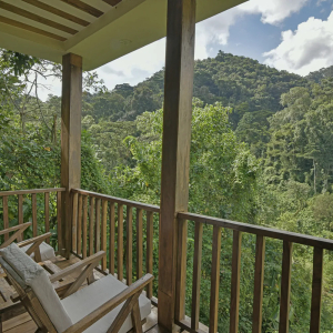 Terrasse mit Waldausblick