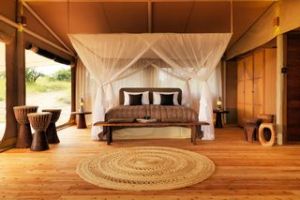 Serengeti Bush Tops