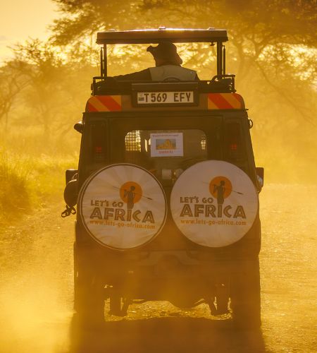 Safari Jeep Let's Go Africa