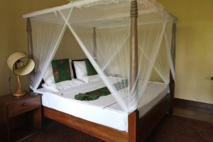 Udzungwa Falls Lodge