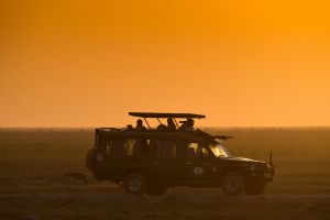 Safari Jeep