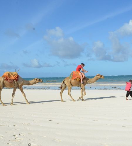 weißer Sandstrand in Sansibar