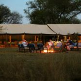 Intimate Camp Zebra