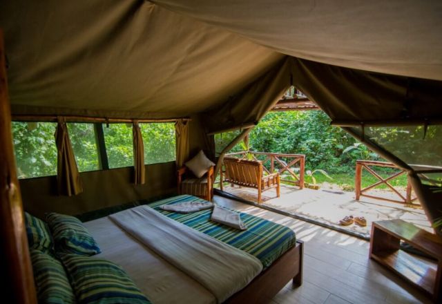 Kibale Forest Camp
