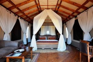 Elephant Rock Luxury Camp