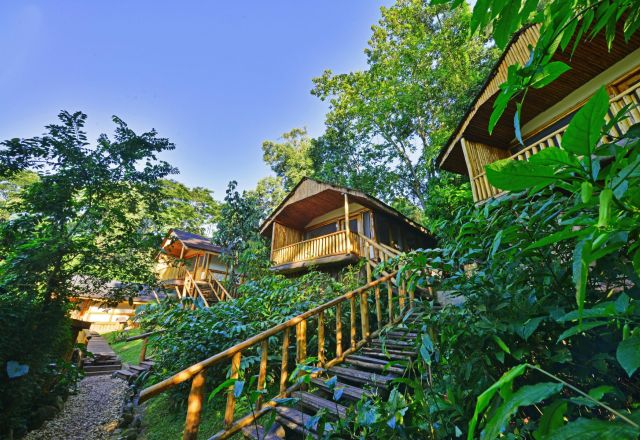 Buhoma Lodge