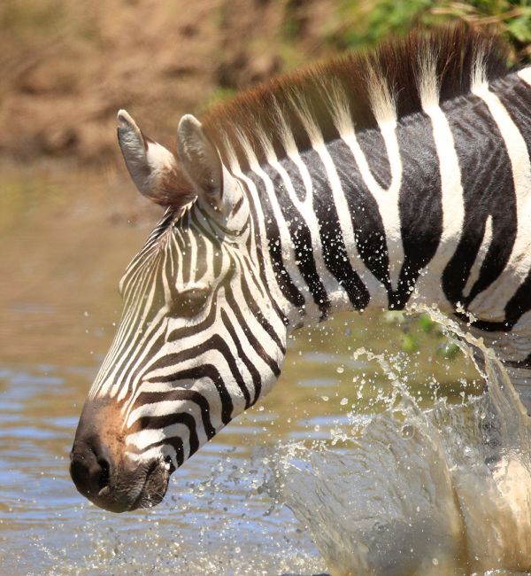 Tansanias Süden und Sansibar