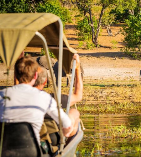 Elefanten in Botswana