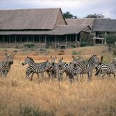 Kilaguni Serena Safari Lodge