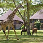 Lake Naivasha Sopa Lodge