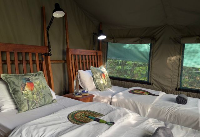 Tangi Elephant Camp