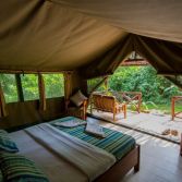 Kibale Forest Camp