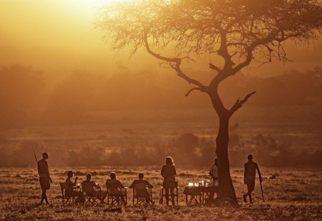 Wild Kenya