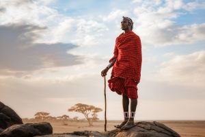 Elefanten im Amboseli