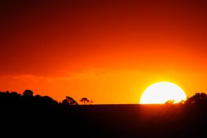 Sonnenuntergang Savanne