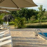 Fort Murchinson Lodge