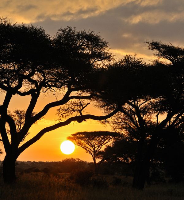 Tansanias Safari Diamanten