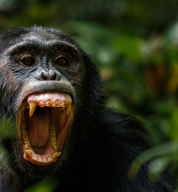 Foto: Thorsten Hanewald