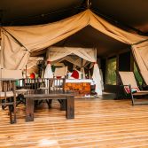 Mara Bush Camp