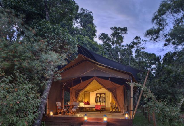 Elephant Pepper Camp
