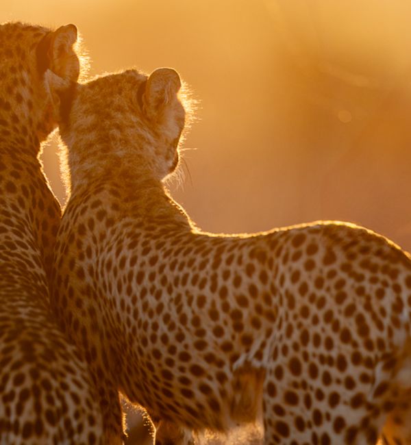 Frauen- Fotoreise Kenia