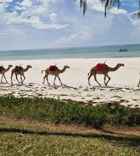 Strandabschnitt Diani Beach