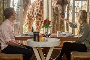 Giraffe Manor