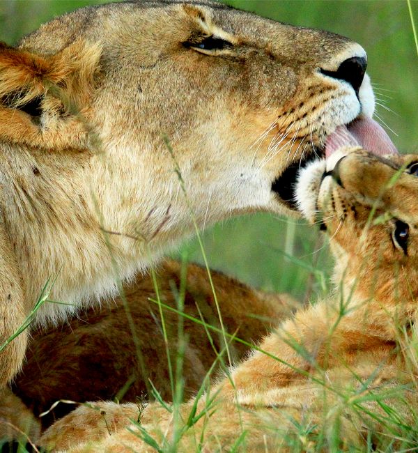 Fotosafari in den Süden und Osten Kenias