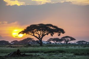 Landschaft Sonnenuntergang